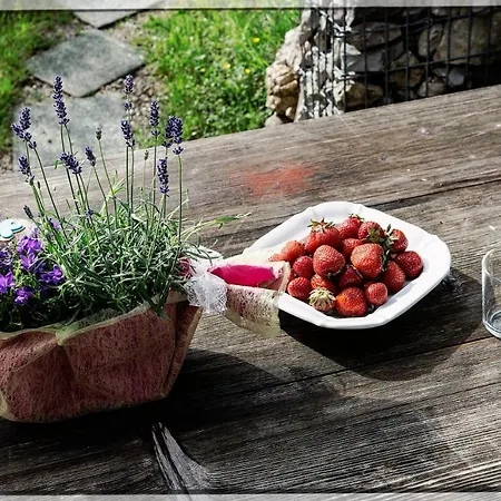 Haus Am - Your Austrian 度假居 *